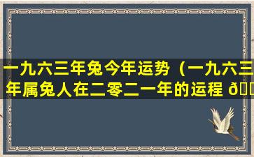 一九六三年兔今年运势（一九六三年属兔人在二零二一年的运程 💐 ）